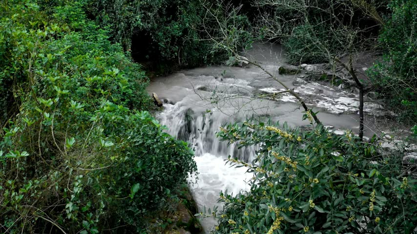 Stream cascades over rocks in a wooded area, showcasing lush foliage and flowing water. The vibrant greenery frames the water source in a serene environment ideal for nature lovers.
