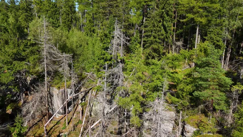 Aerial view of the Black Hills in South Dakota, USA. Rocks, mountains, and forest.