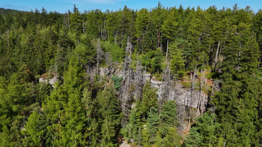 Aerial view of the Black Hills in South Dakota, USA. Rocks, mountains, and forest.