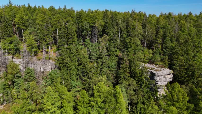 Aerial view of the Black Hills in South Dakota, USA. Rocks, mountains, and forest.