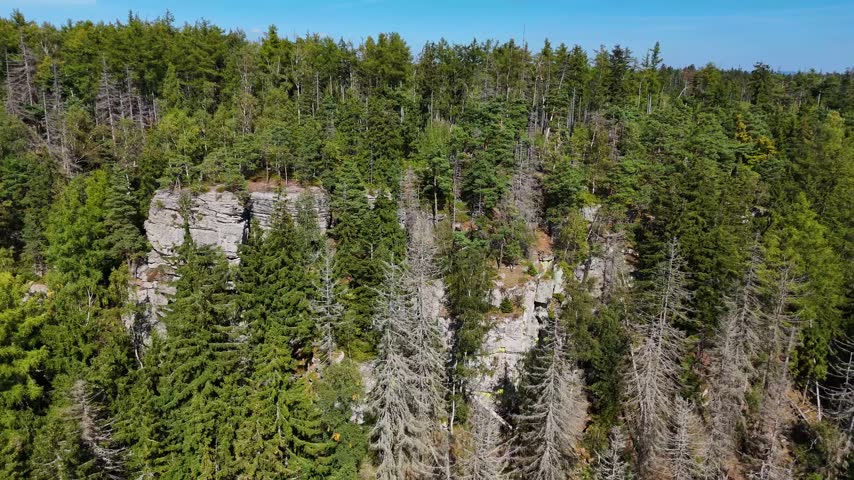 Aerial view of the Black Hills in South Dakota, USA. Rocks, mountains, and forest.