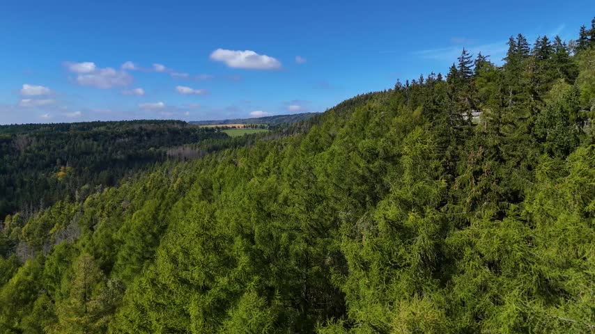Aerial view of the Black Hills in South Dakota, USA. Rocks, mountains, and forest.
