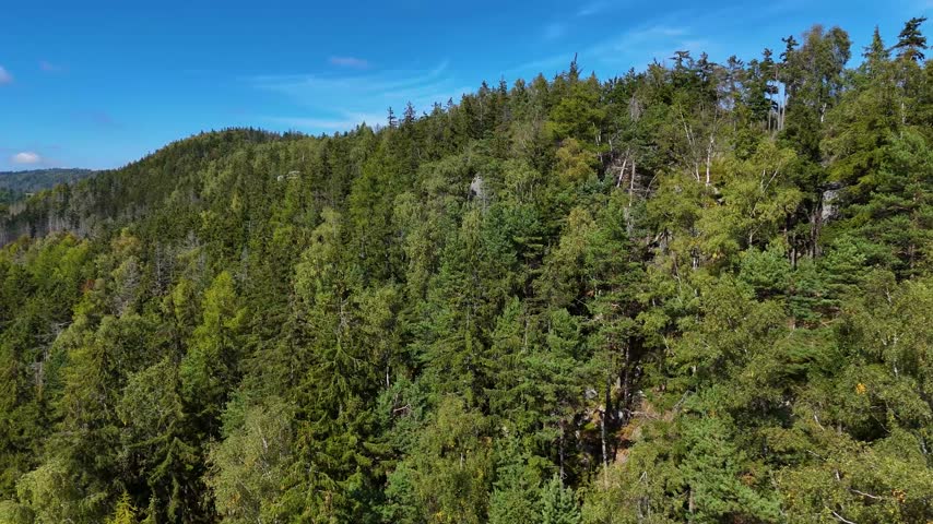 Aerial view of the Black Hills in South Dakota, USA. Rocks, mountains, and forest.