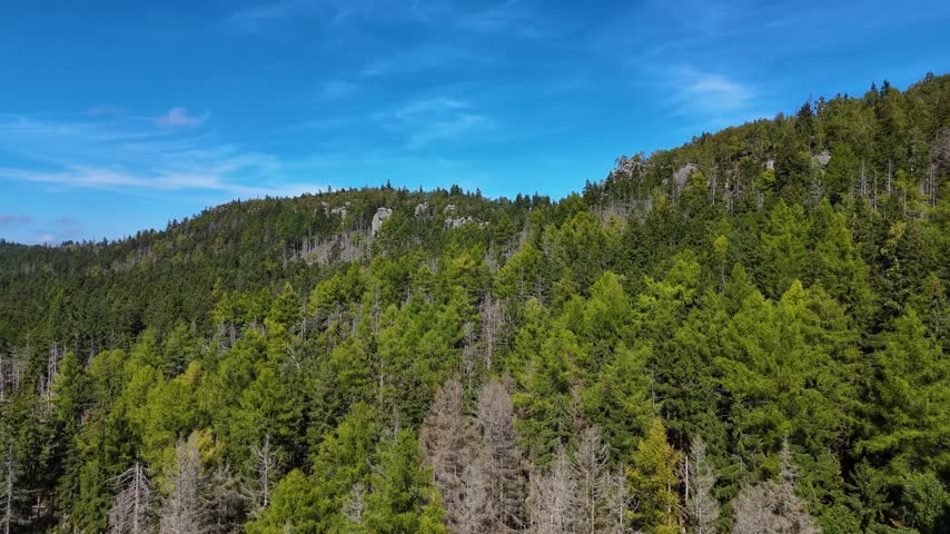 Aerial view of the Black Hills in South Dakota, USA. Rocks, mountains, and forest.