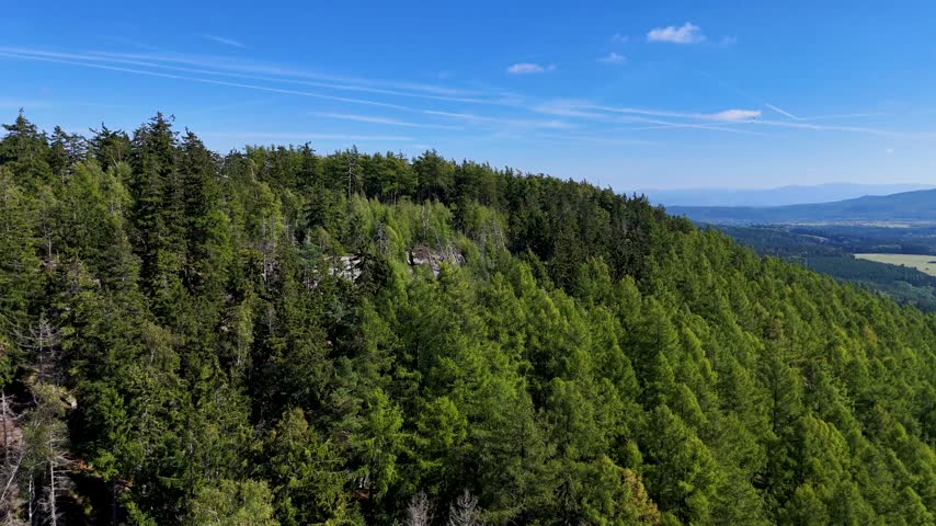 Aerial view of the Black Hills in South Dakota, USA. Rocks, mountains, and forest.