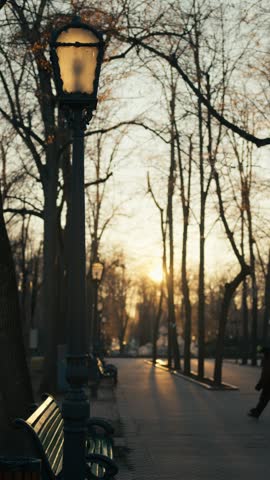 Silhouette of lone person walking along peaceful park alleyway during sunset with vintage street lamp and bare trees in background.