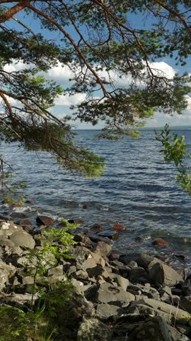 Pine branch framing a lake with rocky shore and blue sky on a sunny summer day