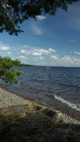 Waves on a pebble lake shore under a pine branch and blue sky