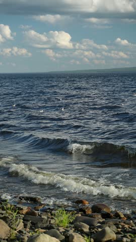Waves rolling onto a stony lake shore with seagulls and cloudy sky