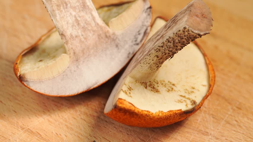 Macro shot of a halved orange-cap boletus mushroom slowly rotating.