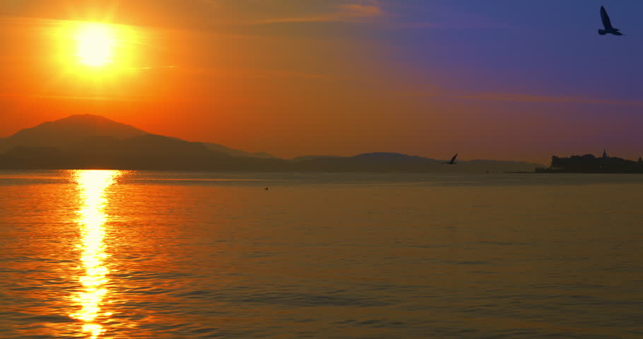 Landscape at dawn with seagulls on the lake