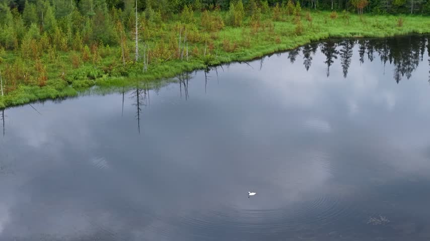 A drone moves above a still pond reflecting gray clouds along a grassy forest edge in Hessel Michigan.
