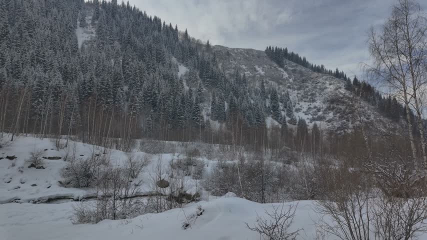 Snow-covered forested mountain slope in winter, Almarasan Gorge, Almaty, Kazakhstan