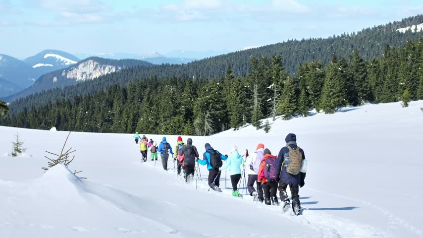 Large group of tourists walking on snow path during winter hike in beautiful mountain landscape with pine forests.
