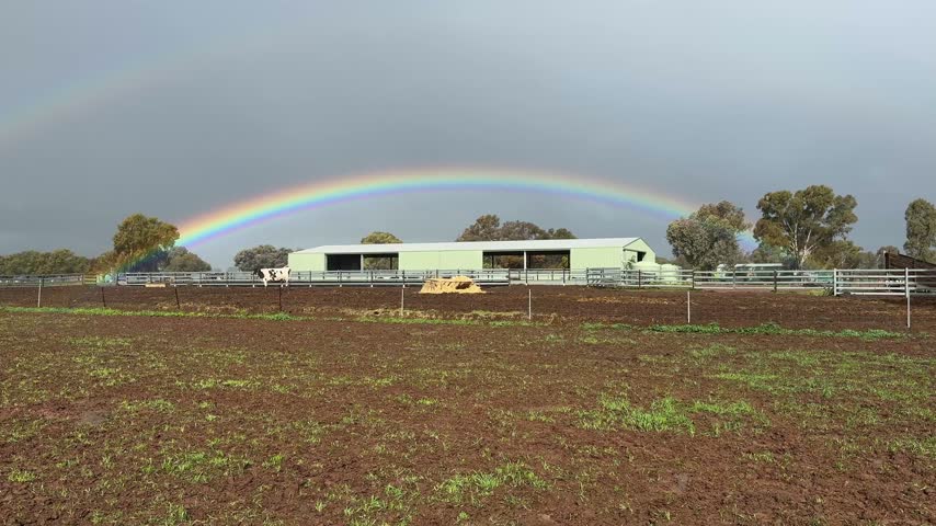 Rainbow arching over a farm shed and muddy cattle yards after rain in rural Australia