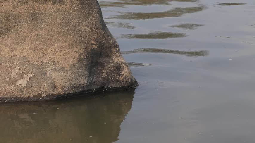Closeup view of a rock shoreline with gentle water ripples and reflections, natural outdoor scene with soft light and calm atmosphere.