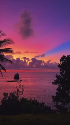 Vibrant purple and orange sunset over tropical ocean horizon with silhouette trees and calm water