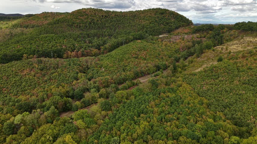 Aerial view of rolling hills covered in trees, showing early signs of autumn color change under a cloudy sky.