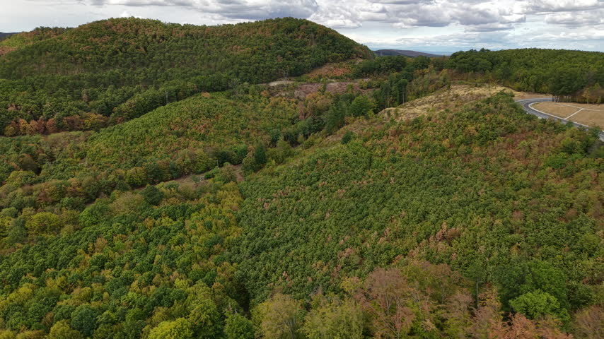 An aerial view of rolling forested hills showing a mix of green and autumn foliage under a cloudy sky.