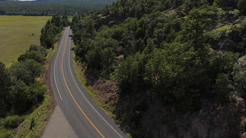 Aerial view of a winding road through a forest landscape near Mormon Lake in Flagstaff, Arizona, United States.