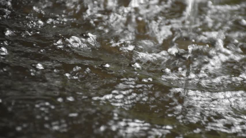 A small shallow creek meandering thru the tropical jungle.