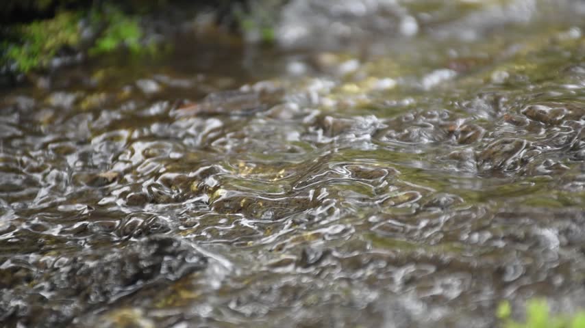 A small shallow creek meandering thru the tropical jungle and the water flowing over the edge of the rock.