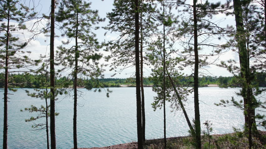 Pine trees framing calm blue lake with shimmering sunlight reflections, rocky shoreline, and distant forested islands at eye level viewpoint