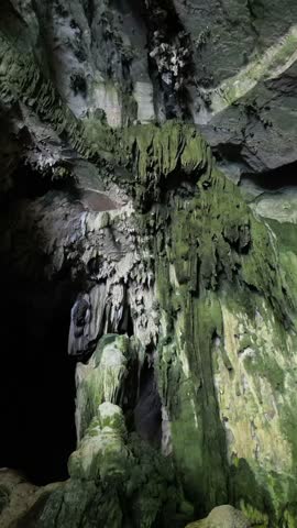 Vertical Limestone Cave with Mossy Rock Formations