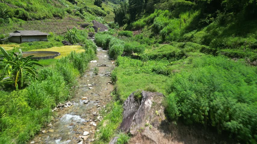 Rural Vietnamese river flowing through lush green valley