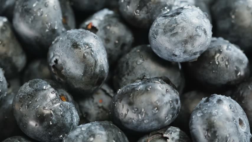 Macro close up view of fresh wet blueberries with water drops on surface.