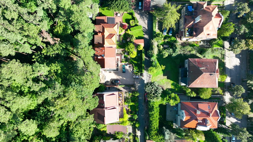 High angle top down perspective of residential houses with red roofs bordering a dense green forest, showcasing suburban living and nature integration.