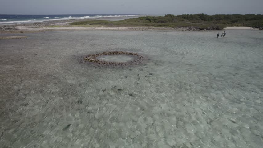 Aerial footage of a school of parrotfish swimming in shallow Caribbean waters, with fishermen visible in the background.