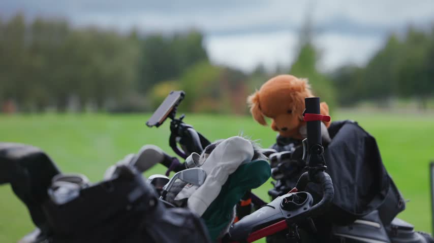 Golf bags and clubs rest beside a cart on a green course, with a small plush dog accessory visible among the equipment under cloudy skies