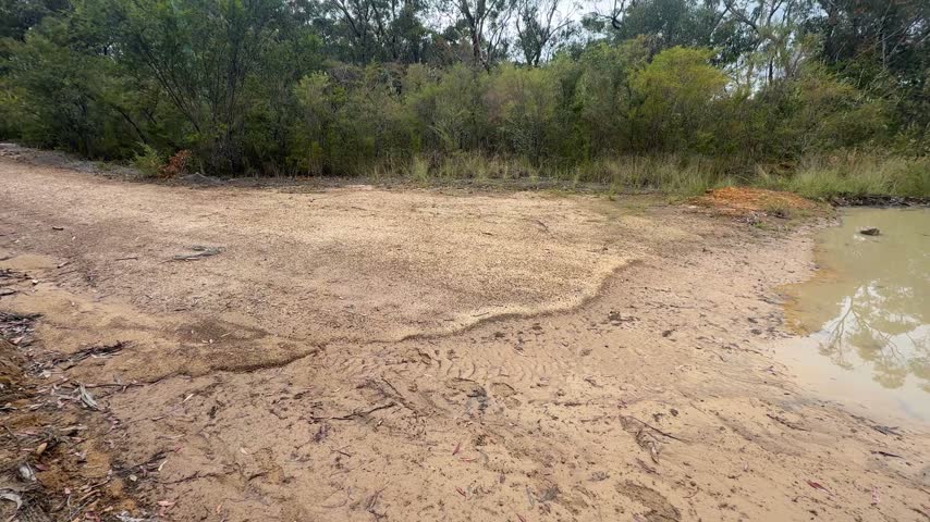 Footage of flooding and surrounding forestry on the edge of Sassafras Gully after a severe thunderstorm in the regional town of Springwood in the Blue Mountains in New South Wales, Australia