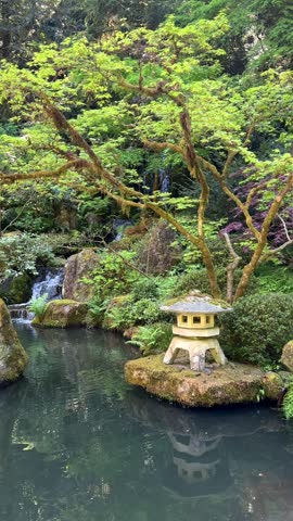 Stone lantern reflected in a tranquil pond beside cascading water and moss covered Japanese maple trees in a Portland Japanese garden