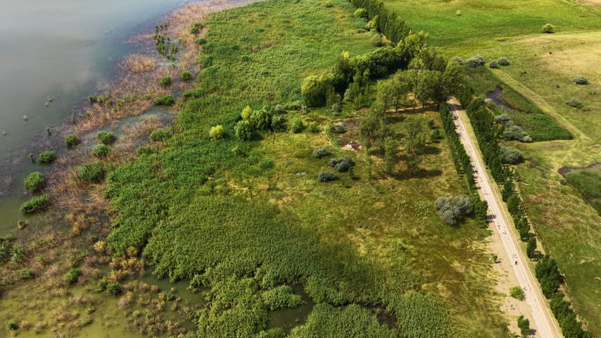 Scenic view of a calm lake edge filled with dense green reeds and wetlands, bordered by a tree-lined asphalt road and open grassy fields.
