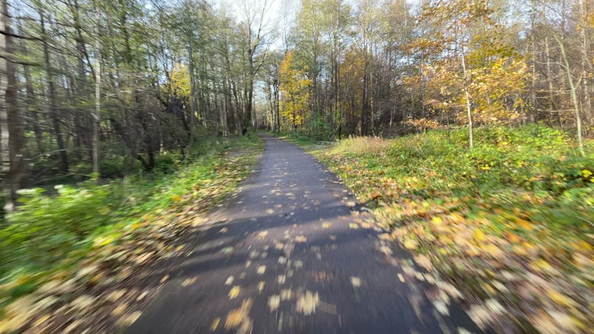 Moving along a paved forest path in autumn