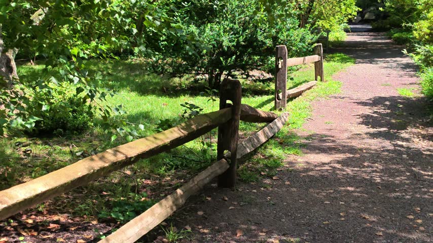 A gravel-covered park path bordered by a wooden fence, leading into a green tree-lined avenue.