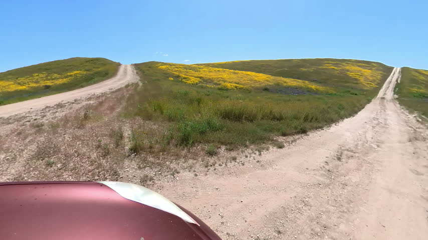 Carrizo Plain National Monument Super Bloom Off Road Driving Plate Front Left View 04 California USA