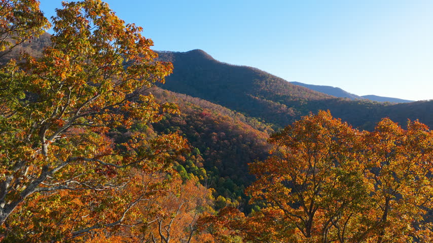 Beautiful autumn nature. Wide view of Appalachian Mountains in North Carolina covered with golden, orange and crimson fall forest.