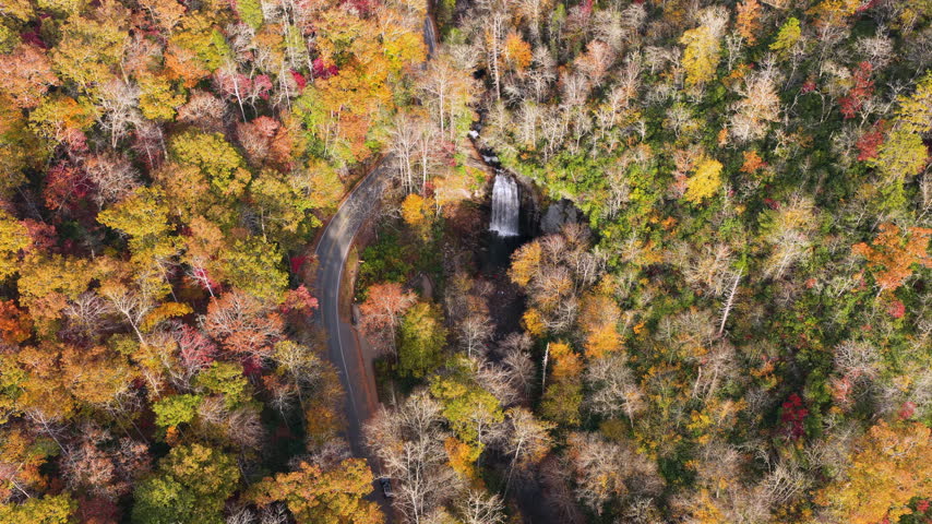 Roadside mountain waterfall with cars traveling on nearby scenic highway. Autumn foliage covers surrounding woodland.
