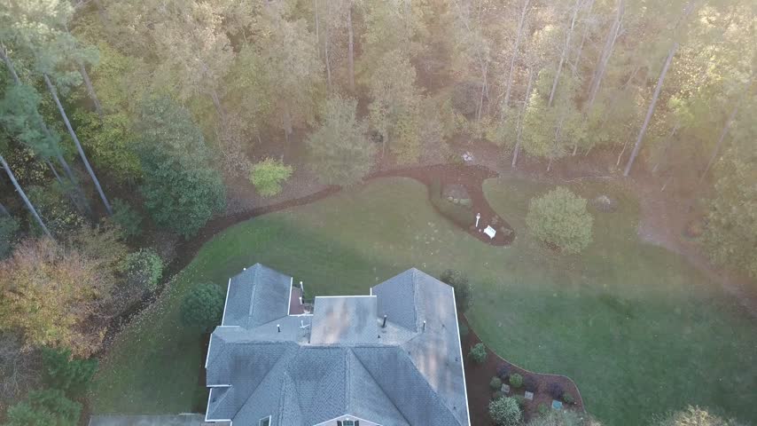 Marshland and forest from above, aerial drone view