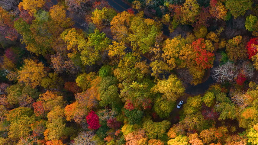 Vehicle parked at mountain viewpoint on the Blue Ridge Parkway in North Carolina. Spectacular fall foliage covers surrounding landscape.