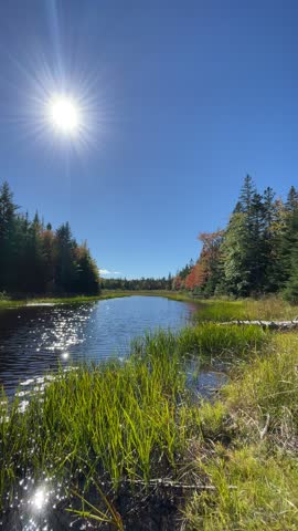 Clear blue skies sun shining down on a thick autumn forest with a river running through it.