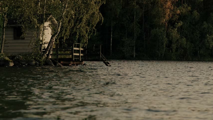 Tranquil wide shot of a rustic cabin on a serene lake shore, surrounded by dense birch forest under warm evening light, gentle rippling water, peaceful moody countryside ambiance.