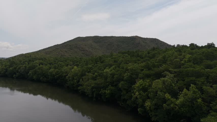 Dense mangroves line a curving riverbank below a broad vegetated hill in Bacungan, Puerto Princesa, Palawan, Philippines.