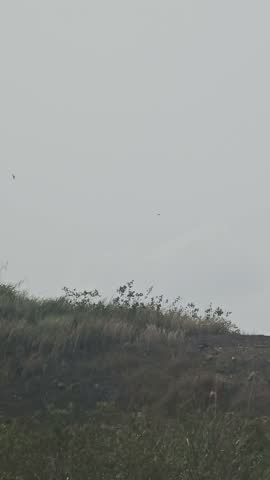 Grassy hill ridge against overcast sky outdoor natural landscape background