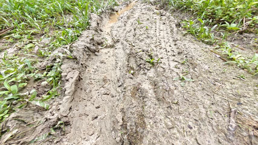 scene of the vehicle mud trail pathway into the farm.
