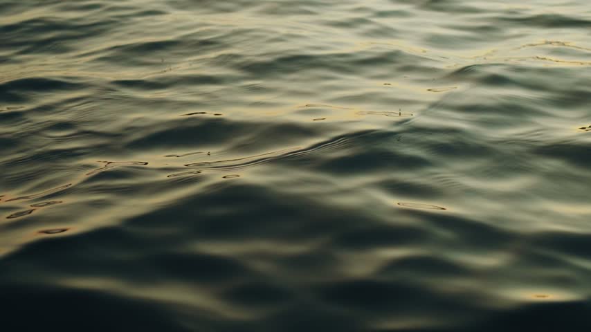 Serene summer lake water gently ripples at sunset, reflecting warm golden and orange hues across a calm surface.