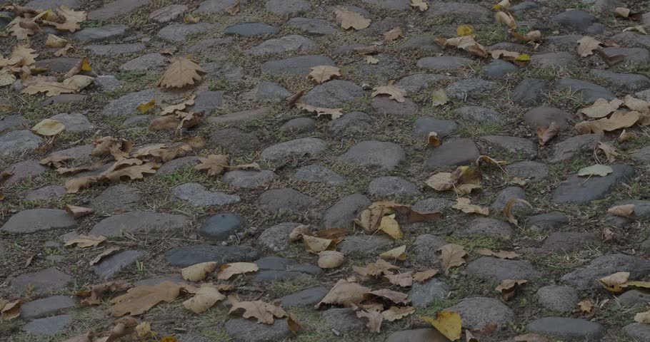 An old cobblestone road in a forest or park area, paved with uneven natural stones and overgrown with grass.